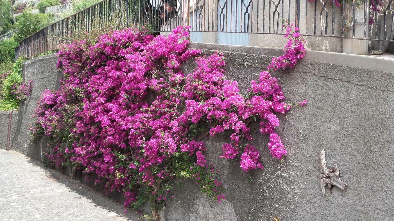 Vila Un Gioiello Con Vista Mare Moneglia Exteriér fotografie